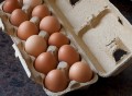 Pastured EGGS - Dozen - Notting Hill